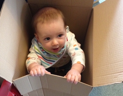 young child smiling sitting in a removals packing box